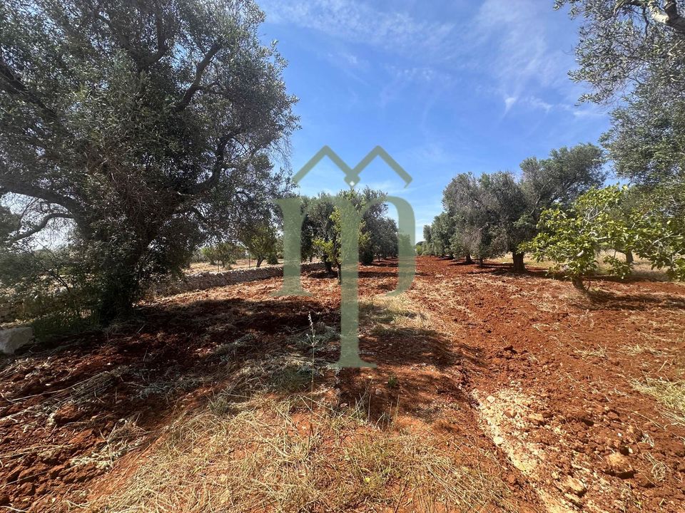 Helårsgrund i Carovigno, Brindisi - foto 4
